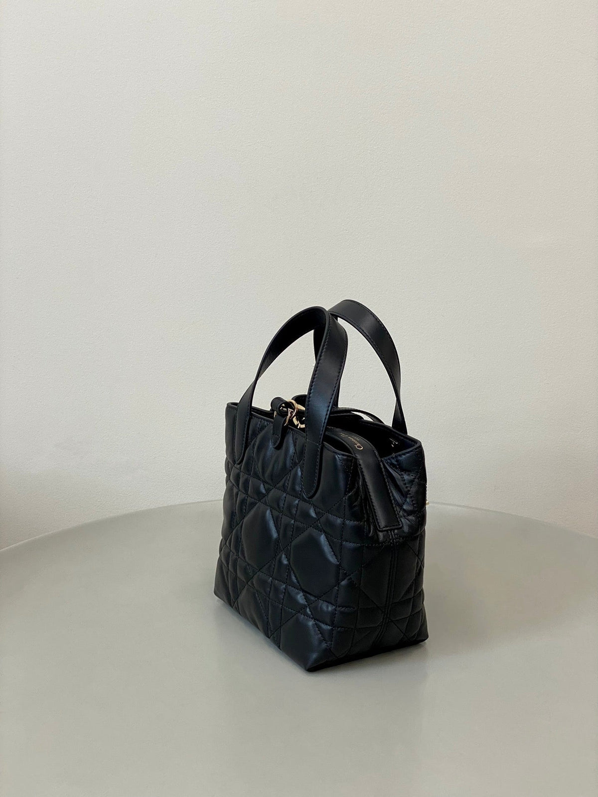 DIOR MINI TOUJOURS BUCKET BAG 18 IN BLACK CANNAGE CALFSKIN